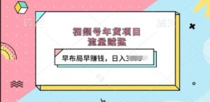 视频号年货项目，流量贼猛，早布局早挣钱，日入上k【揭秘】-中创网_分享创业项目_助您在家赚钱