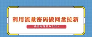 利用流量密码做网盘拉新,操作简单适合0基础小白,轻松实现日入3张-中创网_分享创业项目_助您在家赚钱