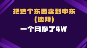 (13740期)跨境电商一个人在家把货卖到迪拜,暴力项目拆解-中创网_分享创业项目_助您在家赚钱