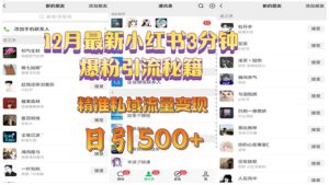 (13653期)12月最新小红书3分钟爆粉引流秘籍 精准私域流量变现 日引500+-中创网_分享创业项目_助您在家赚钱
