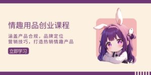 (13682期)情趣用品创业课程:涵盖产品合规,品牌定位,营销技巧,打造热销情趣产品-中创网_分享创业项目_助您在家赚钱