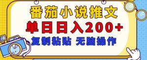 【揭秘】番茄小说推文,复制粘贴,单日日入200+,无脑操作(附详细教程)-中创网_分享创业项目_助您在家赚钱