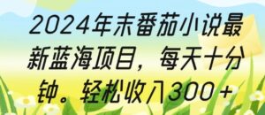 2024年末番茄小说最新蓝海项目，每天十分钟，轻松收入3张-中创网_分享创业项目_助您在家赚钱