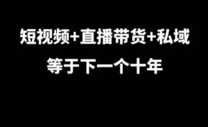 短视频+直播带货+私域等于下一个十年,大佬7年实战经验总结-中创网_分享创业项目_助您在家赚钱