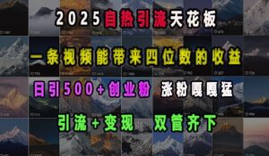 2025自热引流天花板,一条视频能带来四位数的收益,引流+变现双管齐下,日引500+创业粉,涨粉嘎嘎猛-中创网_分享创业项目_助您在家赚钱