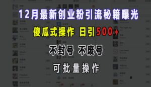 12月最新创业粉引流秘籍曝光 傻瓜式操作 日引500+ 不封号 不废号 可批量操作【揭秘】-中创网_分享创业项目_助您在家赚钱