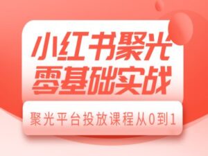 小红书聚光零基础实战,聚光平台投放课程从0到1-中创网_分享创业项目_助您在家赚钱