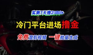 全新冷门平台视频,快速免费进场搞米,通过混剪视频一键批量生成,实测7天撸上千-中创网_分享创业项目_助您在家赚钱