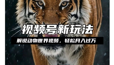 利用动物世界解说视频，赚分成计划收益，轻松月入过W，操作简单【揭秘】-中创网_分享创业项目_助您在家赚钱