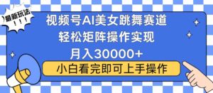 （13813期）视频号蓝海赛道玩法，当天起号，拉爆流量收益，小白也能轻松月入30000+-中创网_分享创业项目_助您在家赚钱