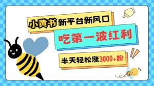 小黄书重磅来袭，新平台新风口，管理宽松，半天轻松涨3000粉，第一波红利等你来吃-中创网_分享创业项目_助您在家赚钱