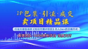 (13780期)《IP包装·暴力引流·闪电成交卖项目精品课》如何在众多导师中脱颖而出?-中创网_分享创业项目_助您在家赚钱