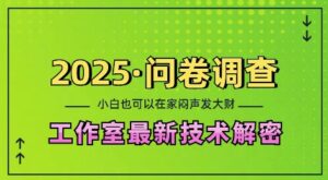 2025问卷调查最新工作室技术解密:一个人在家也可以闷声发大财,小白一天2张,可矩阵放大【揭秘】-中创网_分享创业项目_助您在家赚钱
