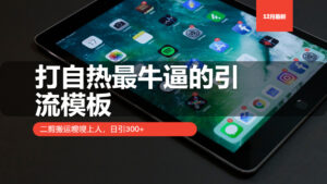 (13654期)打自热最牛逼的引流模板,二剪搬运嗖嗖上人,日引300+-中创网_分享创业项目_助您在家赚钱