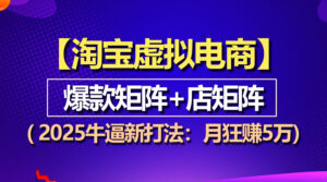 (13687期)【淘宝虚拟项目】2025牛逼新打法:爆款矩阵+店矩阵,月狂赚5万-中创网_分享创业项目_助您在家赚钱
