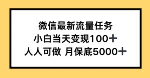 微信最新流量任务，小白当天变现100+，人人可做-中创网_分享创业项目_助您在家赚钱