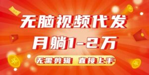 无脑视频代发,月躺1W,无需剪辑,直接上手-中创网_分享创业项目_助您在家赚钱