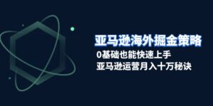 (13644期)亚马逊海外掘金策略,0基础也能快速上手,亚马逊运营月入十万秘诀-中创网_分享创业项目_助您在家赚钱