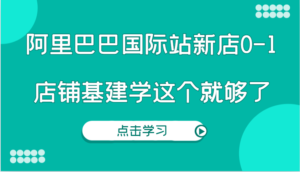 阿里巴巴国际站新店0-1，个人实践实操录制从0-1基建，店铺基建学这个就够了-中创网_分享创业项目_助您在家赚钱