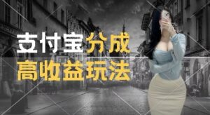 支付宝分成计划新玩法，利用交通事故视频，赚收益，轻松月入过W，操作简单【揭秘】-中创网_分享创业项目_助您在家赚钱