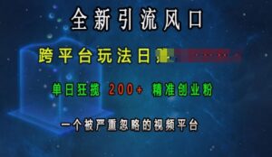 全新引流风口,跨平台玩法日入上k,单日狂揽200+精准创业粉,一个被严重忽略的视频平台-中创网_分享创业项目_助您在家赚钱
