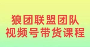 狼团联盟2024视频号带货,0基础小白快速入局视频号-中创网_分享创业项目_助您在家赚钱