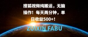 搜狐视频纯搬运，无脑操作!每天两分钟，单日收益5张-中创网_分享创业项目_助您在家赚钱