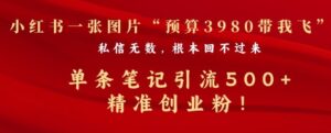 小红书一张图暴力引流500+精准创业粉-中创网_分享创业项目_助您在家赚钱
