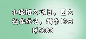 小说推文项目，图文创作玩法，新手10天挣3000-中创网_分享创业项目_助您在家赚钱