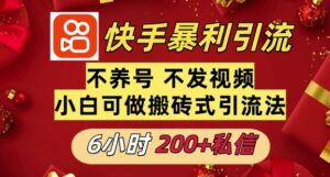 利用快手平台6小时不到200+私信,不发视频不养号-中创网_分享创业项目_助您在家赚钱