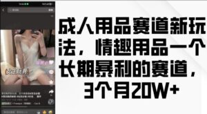 成人用品赛道新玩法,情趣用品一个长期暴利的赛道,3个月收益20个【揭秘】-中创网_分享创业项目_助您在家赚钱