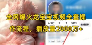 全网爆火龙宝宝视频全套操作流程,播放量2000万+-中创网_分享创业项目_助您在家赚钱