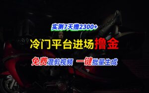 全新冷门平台vivo视频，快速免费进场搞米，通过混剪视频一键批量生成，实测7天撸2300+-中创网_分享创业项目_助您在家赚钱
