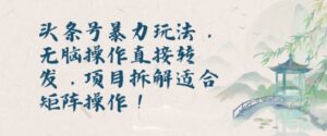 头条号暴力玩法，无脑操作直接转发，项目拆解适合矩阵操作!-中创网_分享创业项目_助您在家赚钱