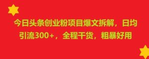 今日头条创业粉项目爆文拆解，日均引流300+，全程干货，粗暴好用-中创网_分享创业项目_助您在家赚钱