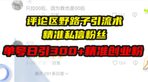 （13676期）评论区野路子引流术，精准私信粉丝，单号日引流300+精准创业粉-中创网_分享创业项目_助您在家赚钱