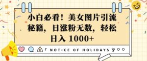 小白必看,美女图片引流秘籍,日涨粉无数,轻松日入几张【揭秘】-中创网_分享创业项目_助您在家赚钱