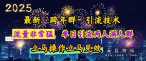 最新“跨年群”引流,流量非常猛,单日引流两人满人群,立马操作立马见效【揭秘】-中创网_分享创业项目_助您在家赚钱