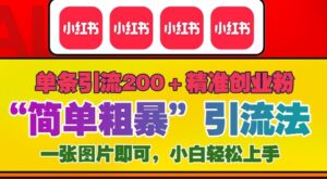 12月底小红书”简单粗暴“引流法,单条引流200+精准创业粉-中创网_分享创业项目_助您在家赚钱