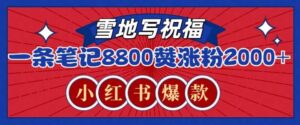 一条笔记8800+赞，涨粉2000+，火爆小红书雪地写祝福玩法-中创网_分享创业项目_助您在家赚钱