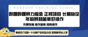 （13749期）全新哔哩哔哩暴力掘金 年前暴力项目简单好操作 长期稳定单机日入500+-中创网_分享创业项目_助您在家赚钱