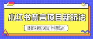 小红书禁言项目新玩法,推广新思路大大提升出单率,轻松实现月入过W-中创网_分享创业项目_助您在家赚钱