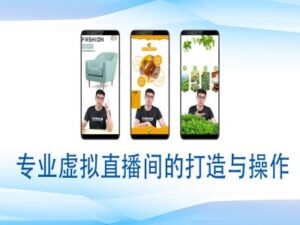 个人虚拟直播间的搭建与操作,专业虚拟直播间的打造与操作-中创网_分享创业项目_助您在家赚钱