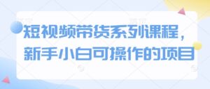 短视频带货系列课程,新手小白可操作的项目-中创网_分享创业项目_助您在家赚钱