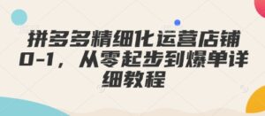 拼多多精细化运营店铺0-1,从零起步到爆单详细教程-中创网_分享创业项目_助您在家赚钱