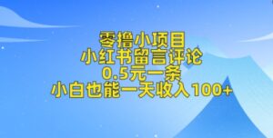 零撸小项目,小红书留言评论,0.5元一条,小白也能一天收入100+-中创网_分享创业项目_助您在家赚钱