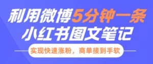 小红书利用微博5分钟一条图文笔记,实现快速涨粉,商单接到手软-中创网_分享创业项目_助您在家赚钱