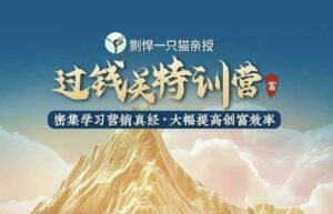 剽悍一只猫-过钱关特训营，学习营销真经 大幅度提高创富效率-中创网_分享创业项目_助您在家赚钱