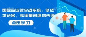 国际站运营实战系统:低成本获客,高质量询盘增长课-中创网_分享创业项目_助您在家赚钱