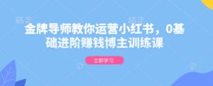 金牌导师教你运营小红书，0基础进阶赚钱博主训练课-中创网_分享创业项目_助您在家赚钱